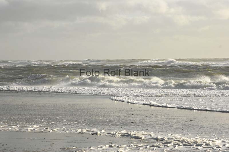 DK2007_004