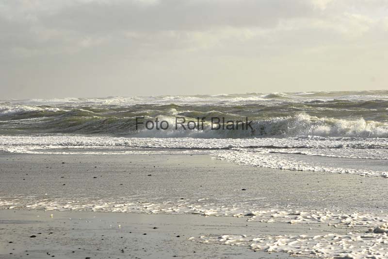 DK2007_005