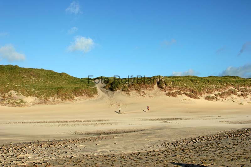 DK2007_008
