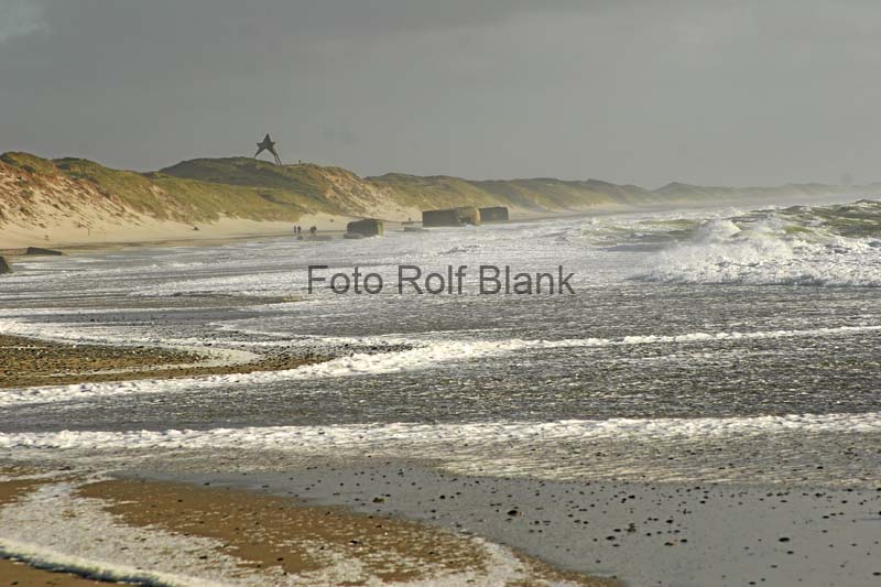 DK2007_009