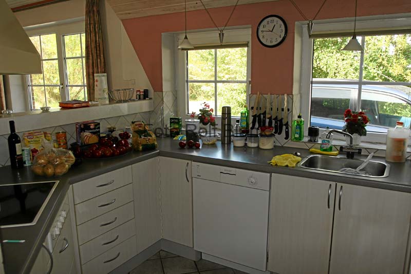 DK2007_036