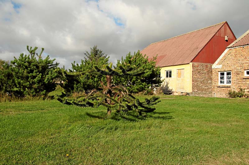 DK2007_055