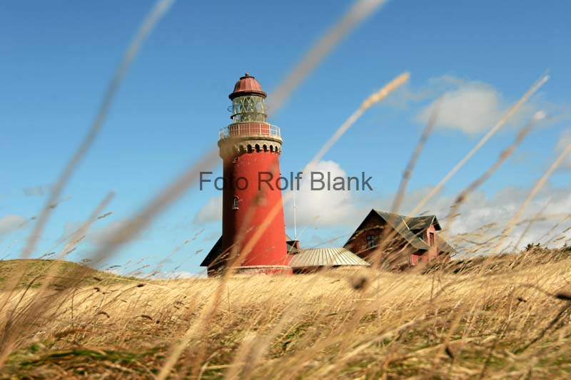 DK2007_068
