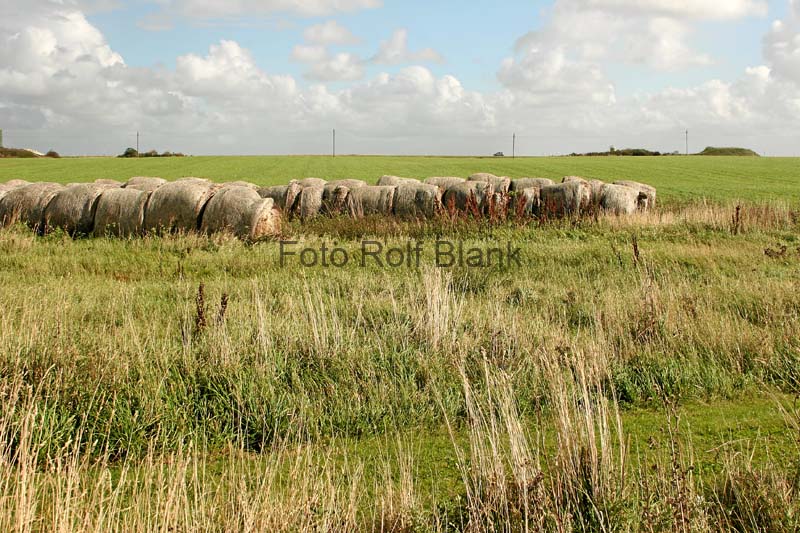 DK2007_074
