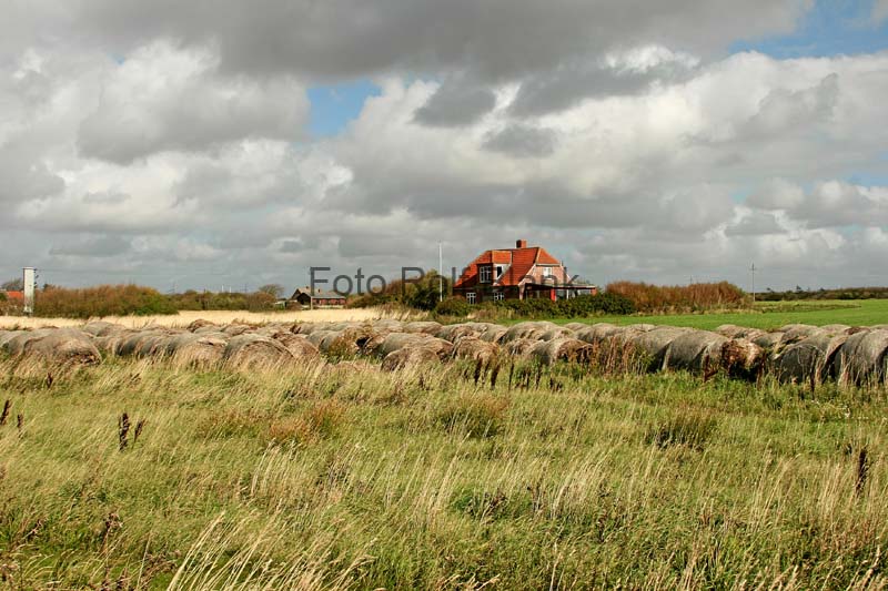 DK2007_076