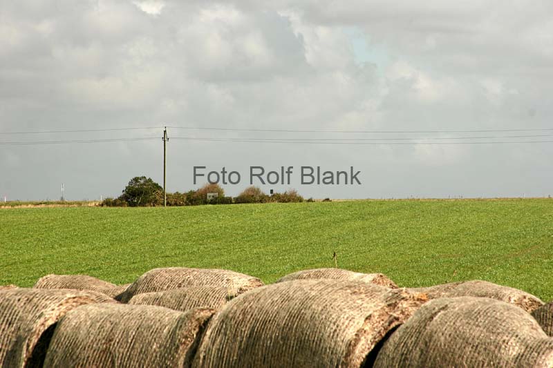 DK2007_077