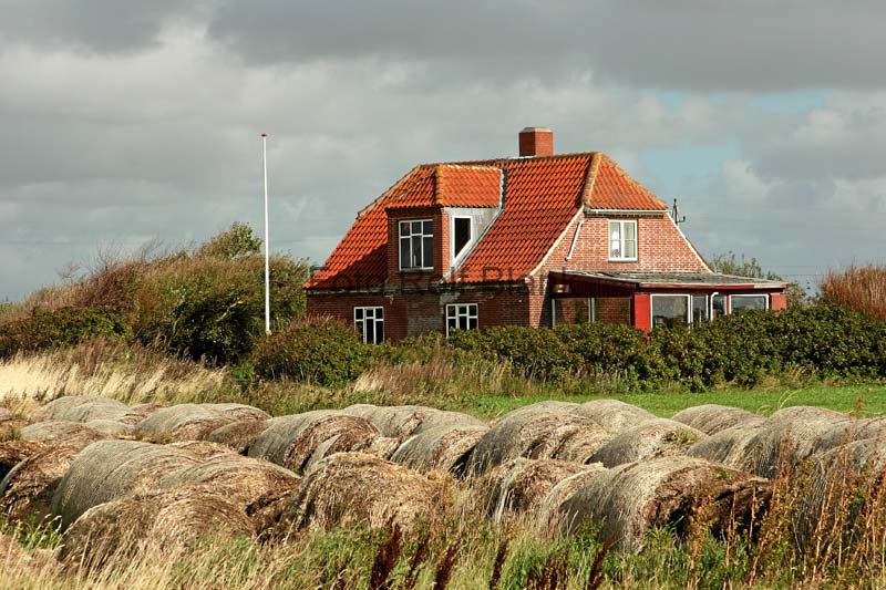 DK2007_078
