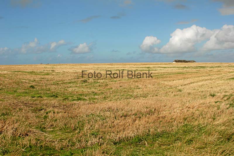 DK2007_079