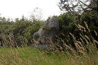 DK2007_045