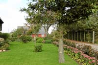 DK2007_046