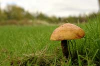 DK2007_063