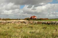 DK2007_076