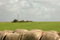 DK2007_077