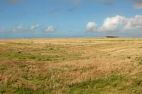 DK2007_079