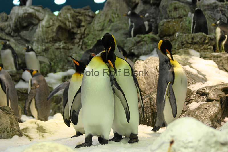 tf_0205