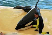 tf_0252